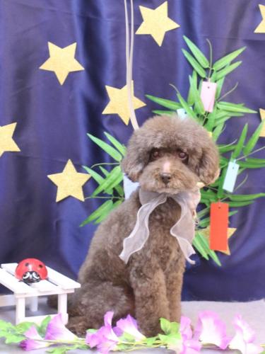 20230727きょうのちゃん